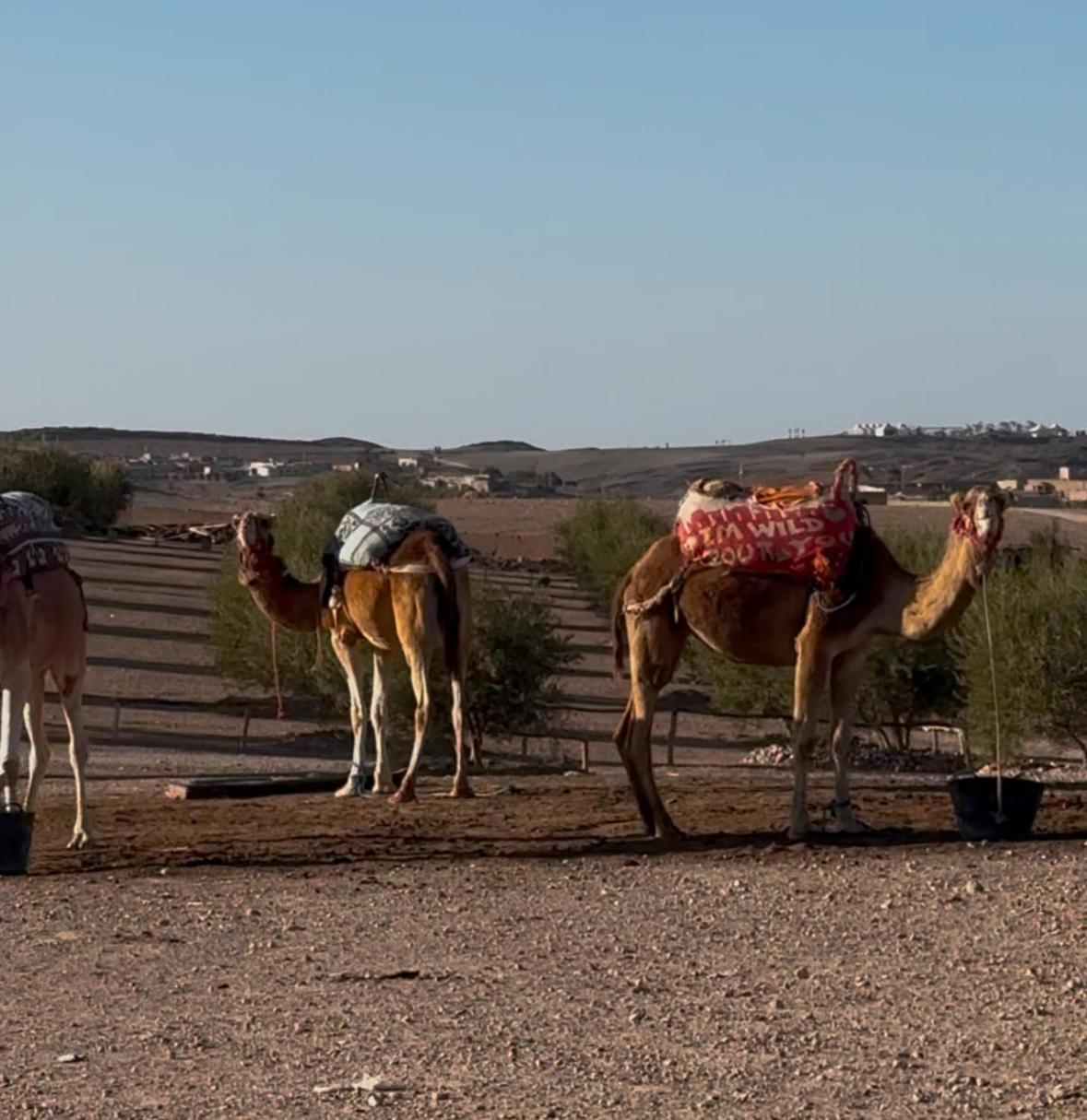 Agafay Valley Marrakesh Exterior foto